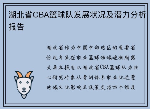 湖北省CBA篮球队发展状况及潜力分析报告